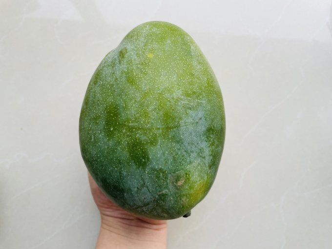 十记庄园芒果