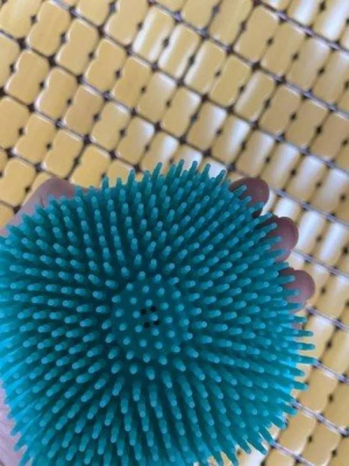 其他宠物日用