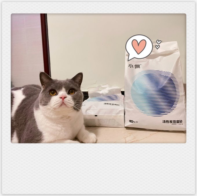 小佩猫砂