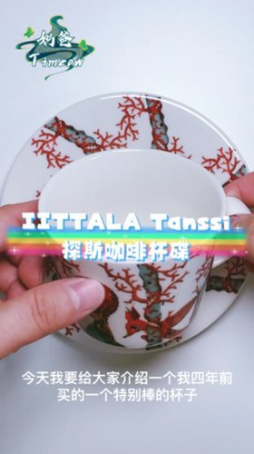美轮美奂-IITTALA探斯系列咖啡杯碟