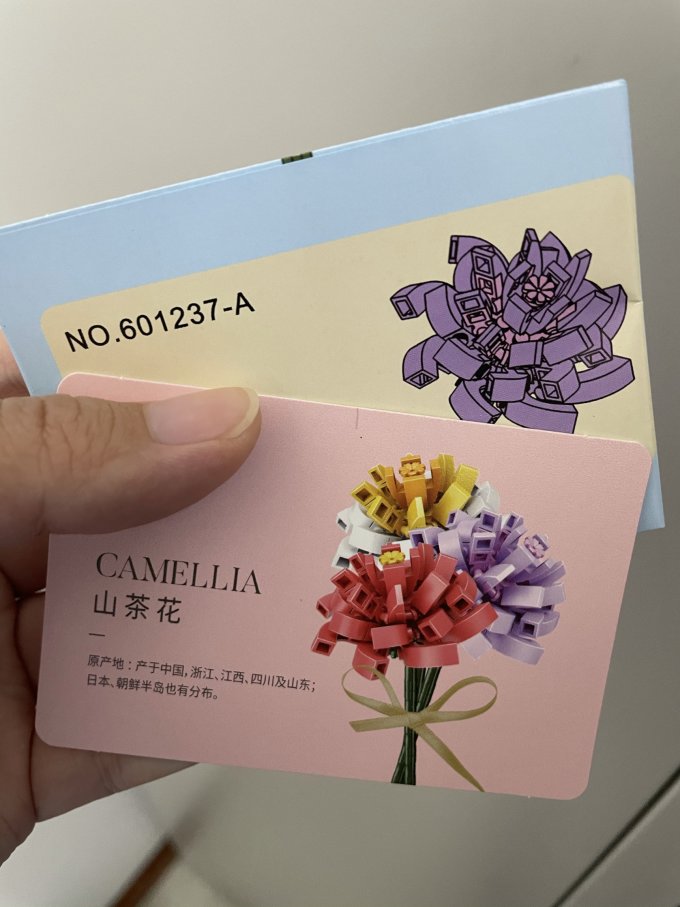 森宝木制积木