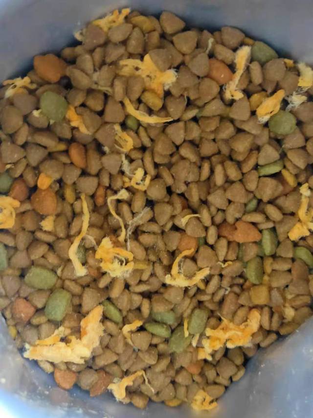 很新鲜的狗粮
