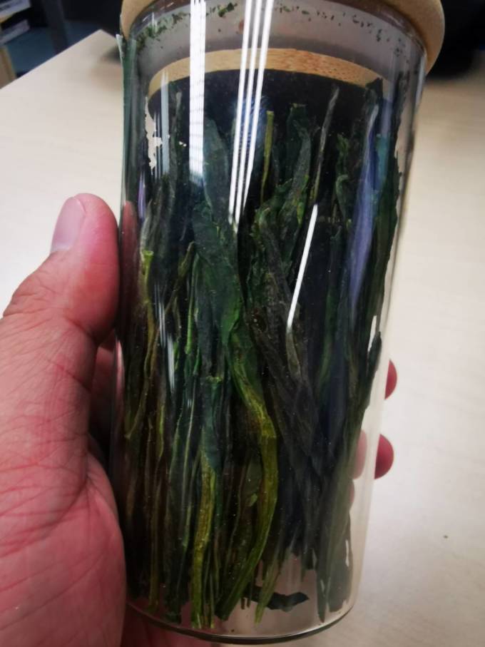 绿满堂绿茶