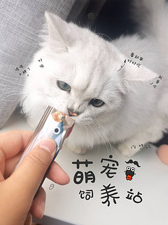 猫猫超爱的猫粮来咯！