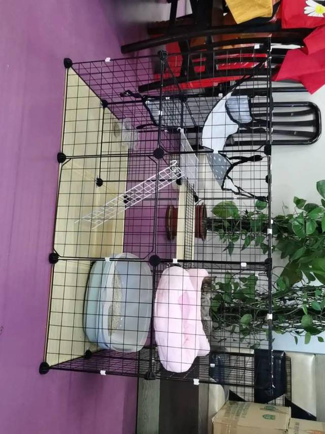 宠物宿舍