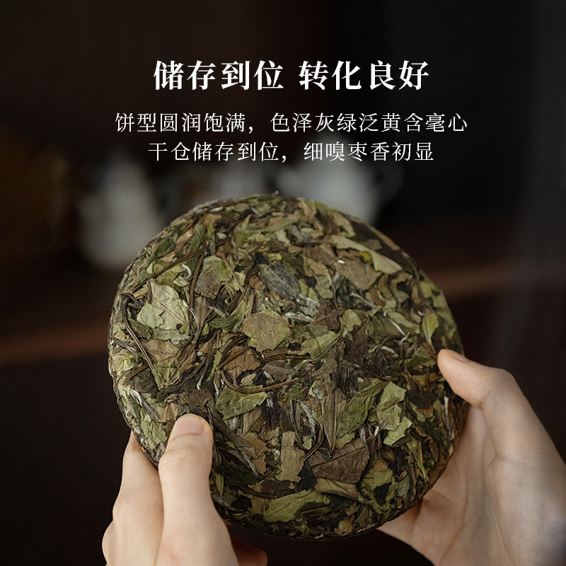 一些性价比不错的口粮茶分享