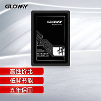 光威（Gloway）480GBSSD固态硬盘SATA3.0接口悍将系列-畅快体验高速存储