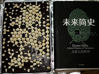 送礼物不如送美食，一块巧克力足足400G