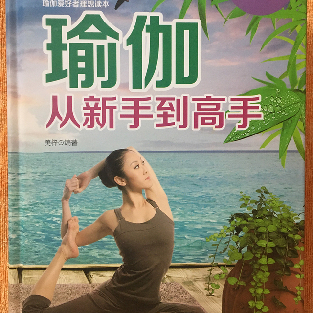 瑜伽爱好者的理想入门读本