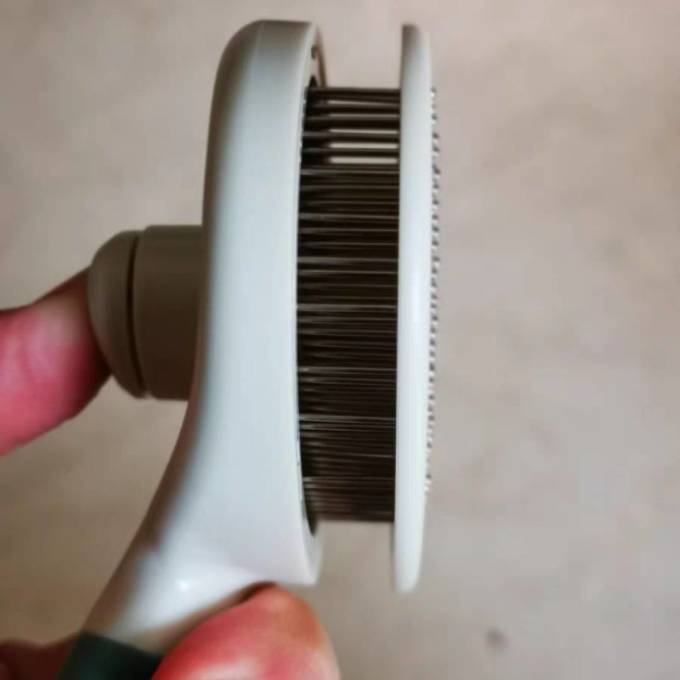 宠物用品