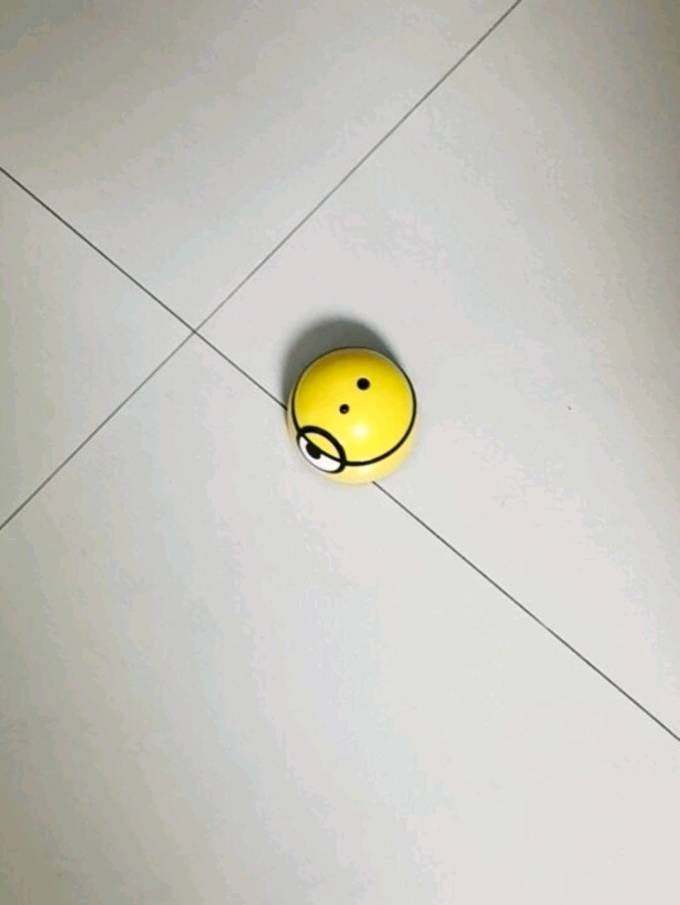 猫玩具