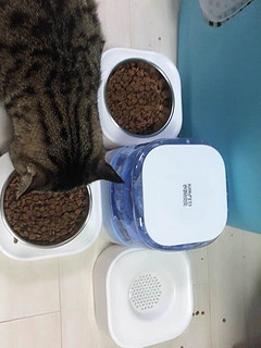 猫咪自动饮水机食物盆