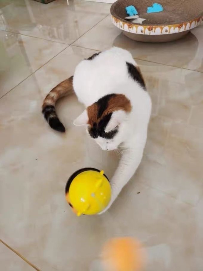 华元宠具猫玩具