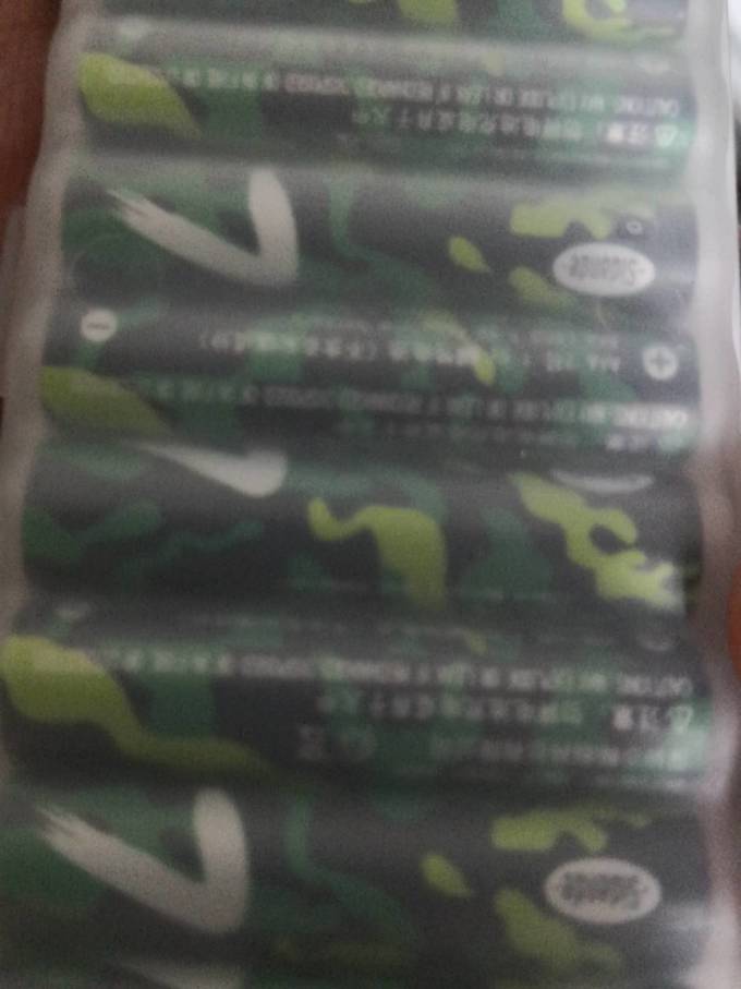 斯丹德电池