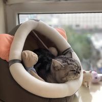 猫咪窝睡觉床