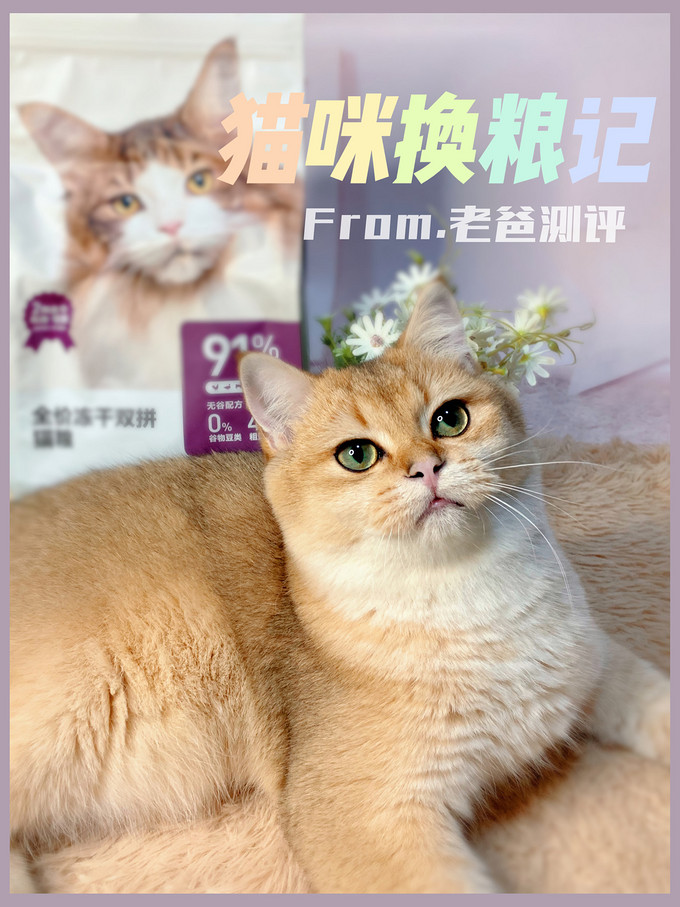 网易严选猫粮