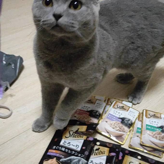 希宝猫零食