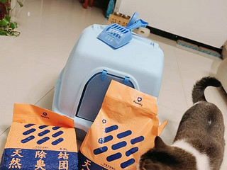 Pawbby猫砂，健康无毒，铲屎官首选