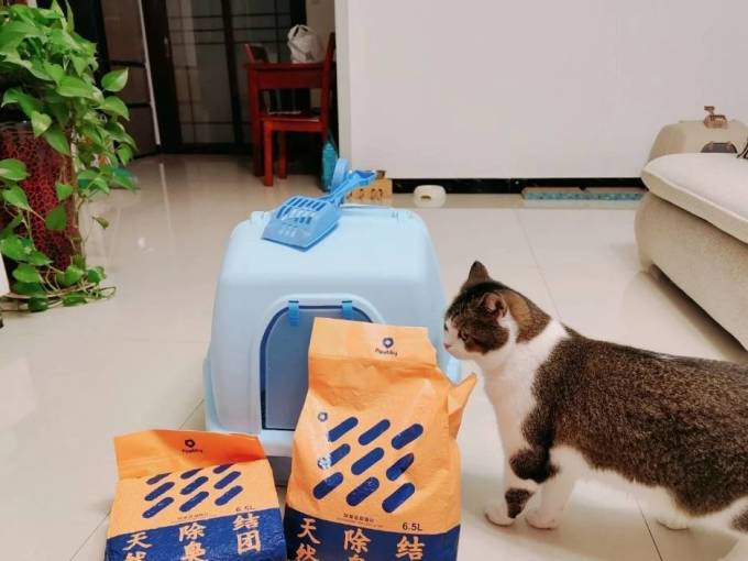 猫砂