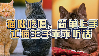 猫咪吃喝，简单上手，让猫主子乖乖听话