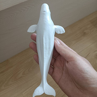 海洋微笑天使：PNSO白鲸海力模型