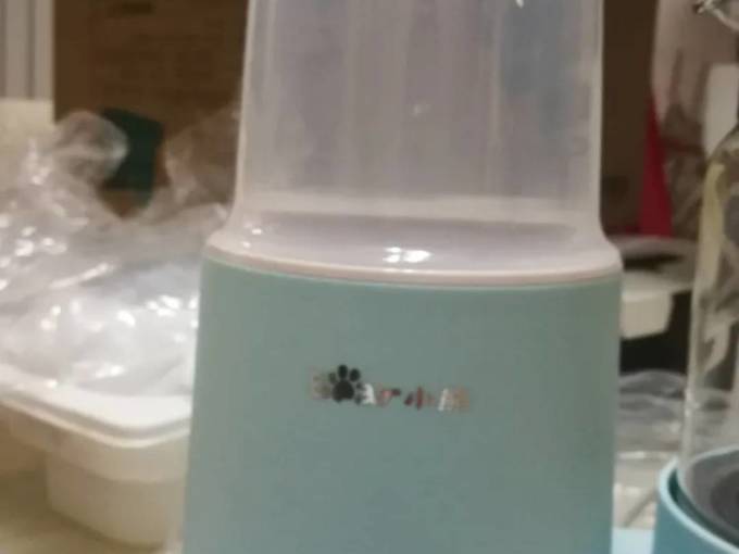 小熊电水壶