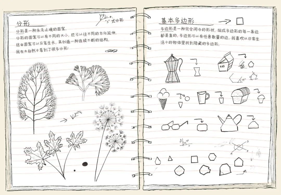 不卷不躺,扎实提升数理思维,这14本童书建议收藏!