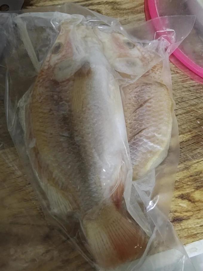 品珍鲜活鱼类