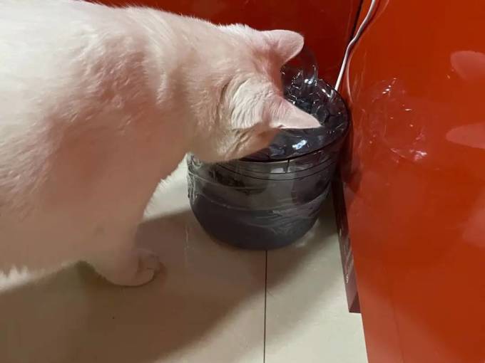 同心惢宠物食具水具