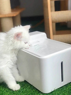 猫咪狗狗自动饮水器 智能循环杀菌