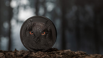 世界纪念币鉴赏 篇四十六：​暗夜猎人系列之二-鹰鸮-2021年帕劳银币