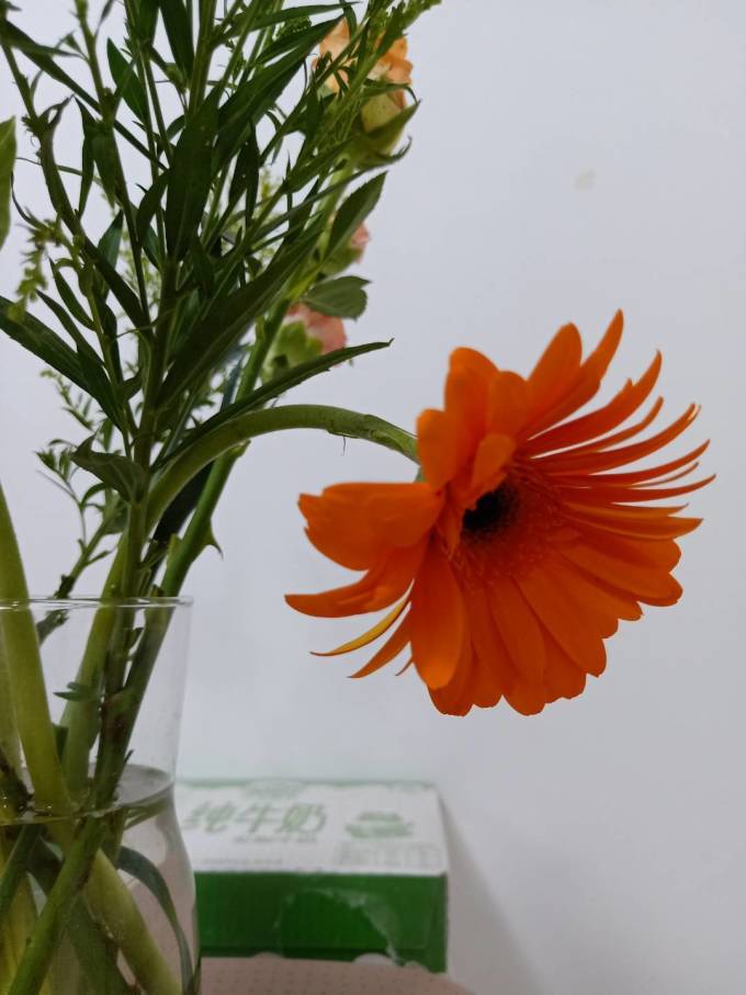 考拉之选鲜花速递