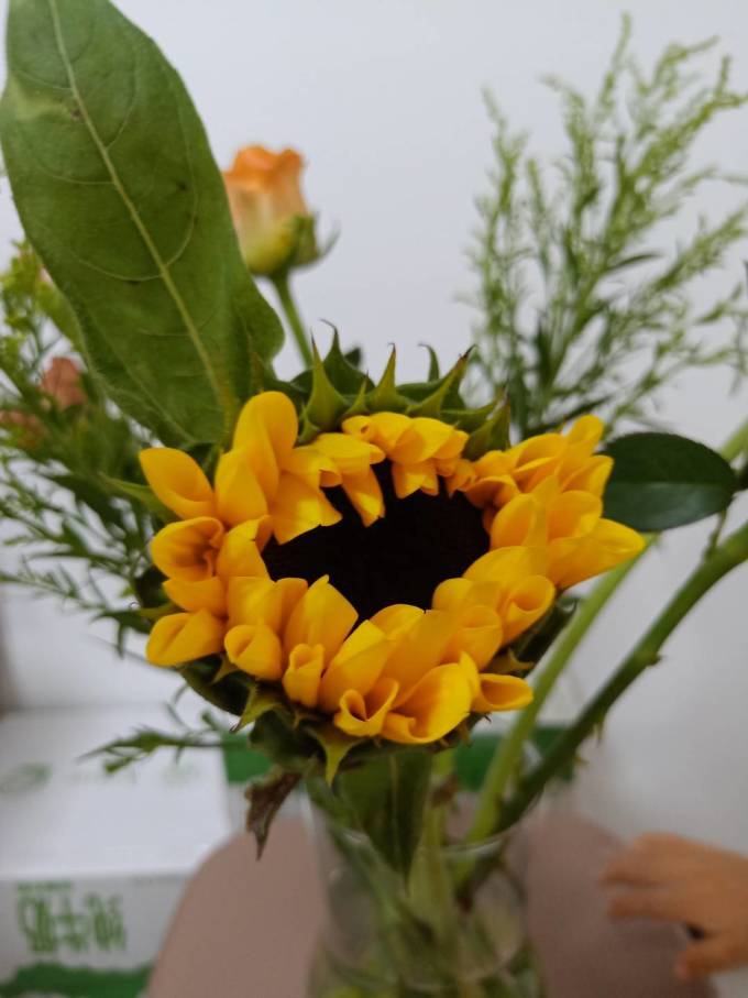 考拉之选鲜花速递