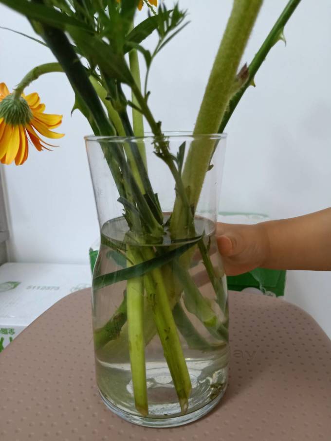考拉之选鲜花速递
