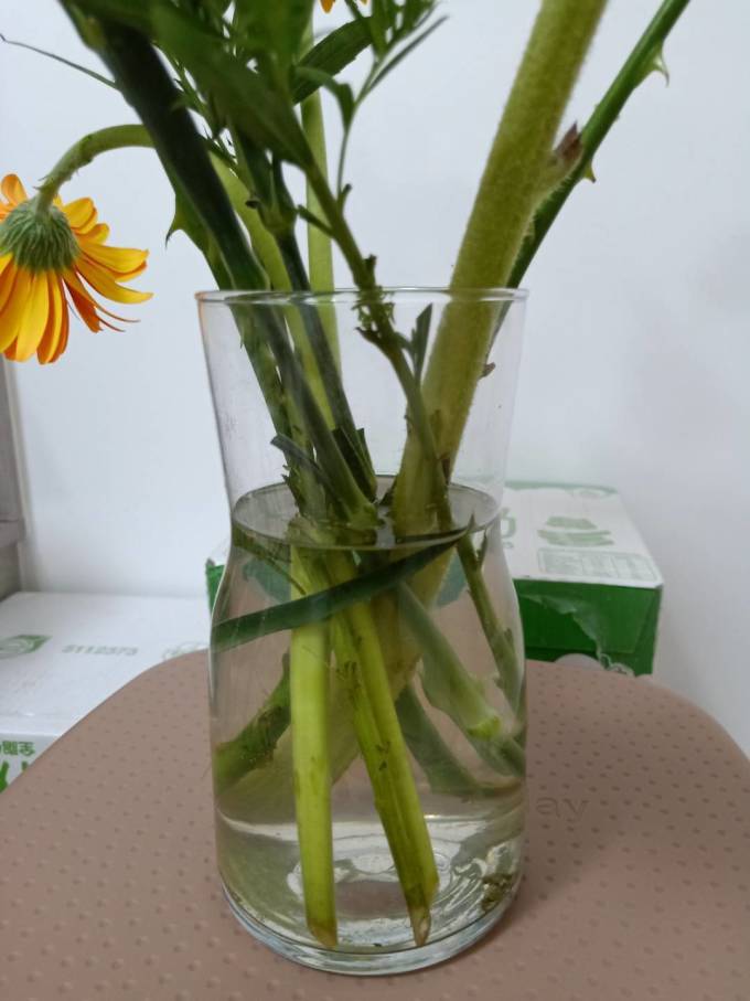 考拉之选鲜花速递