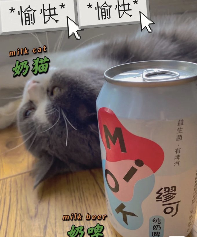啤酒
