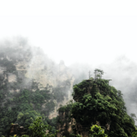 张家界部分景区今日起恢复开放！A级景区门票向全国游客半价！