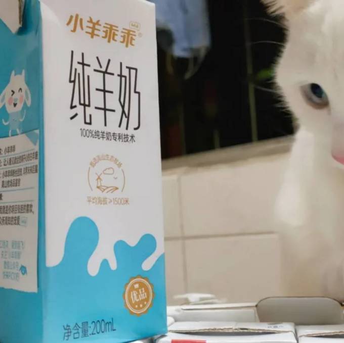 小羊乖乖乳饮料