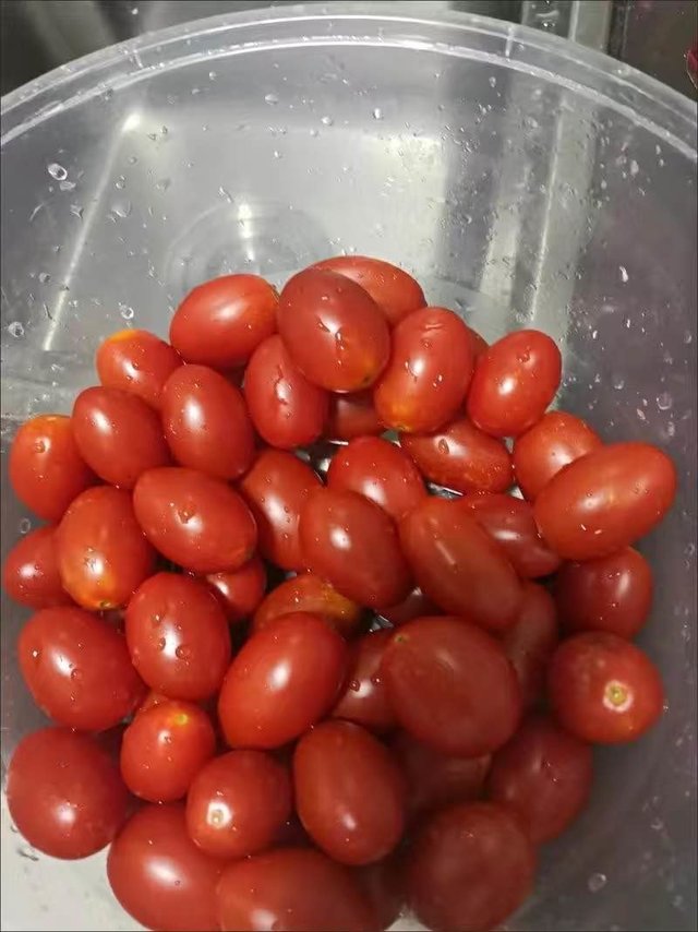 圣女果