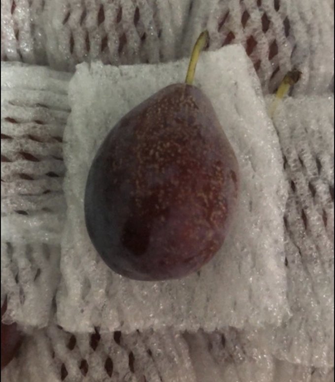 新鲜水果