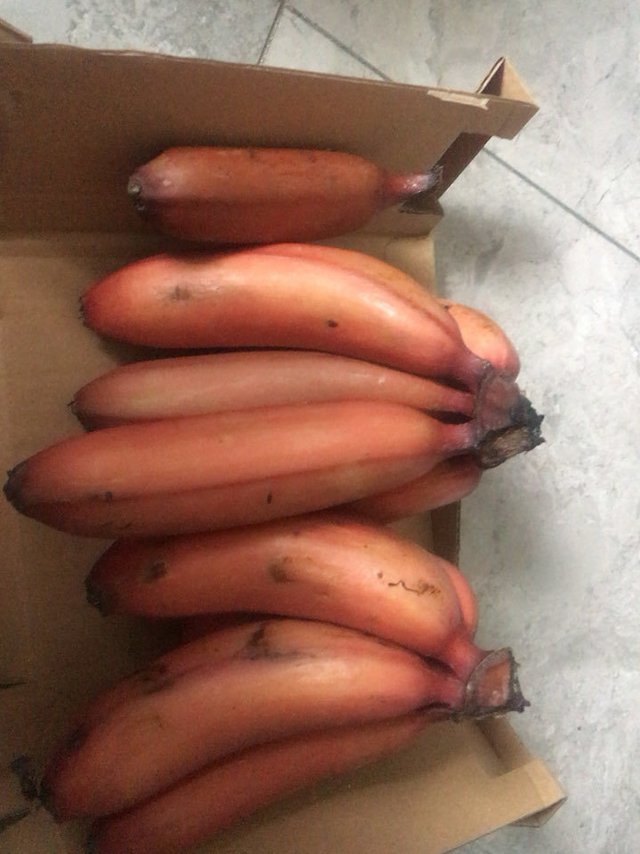 红色香蕉🍌、第一次尝试新品种