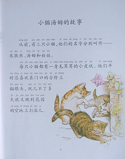 穿衣服的猫——汤姆