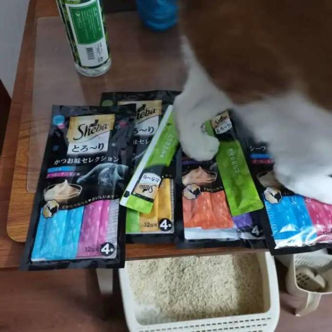 猫粮