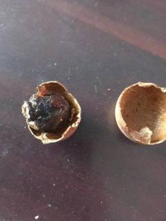 桂圆干