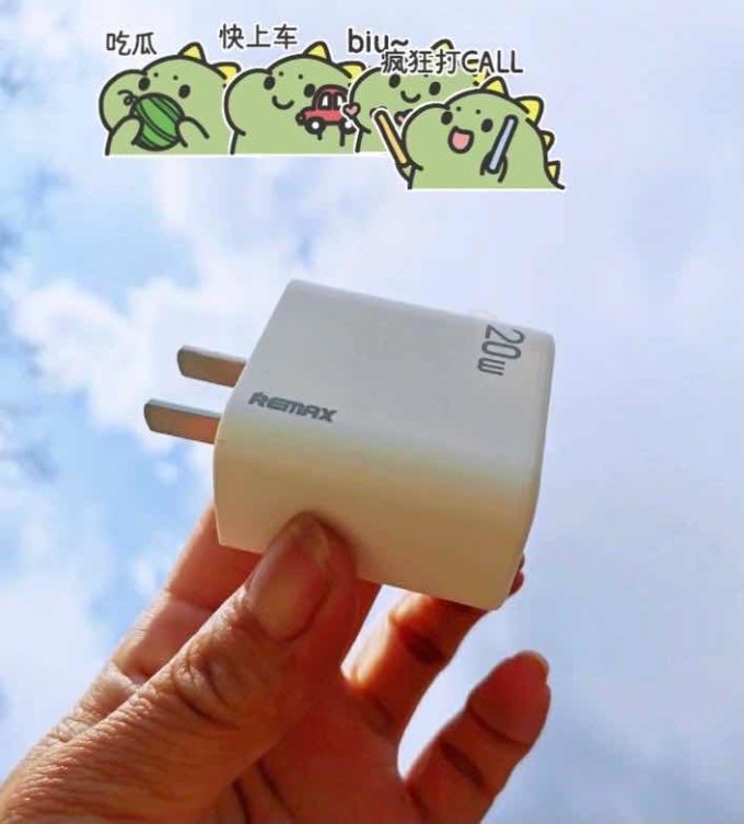 睿量充电器
