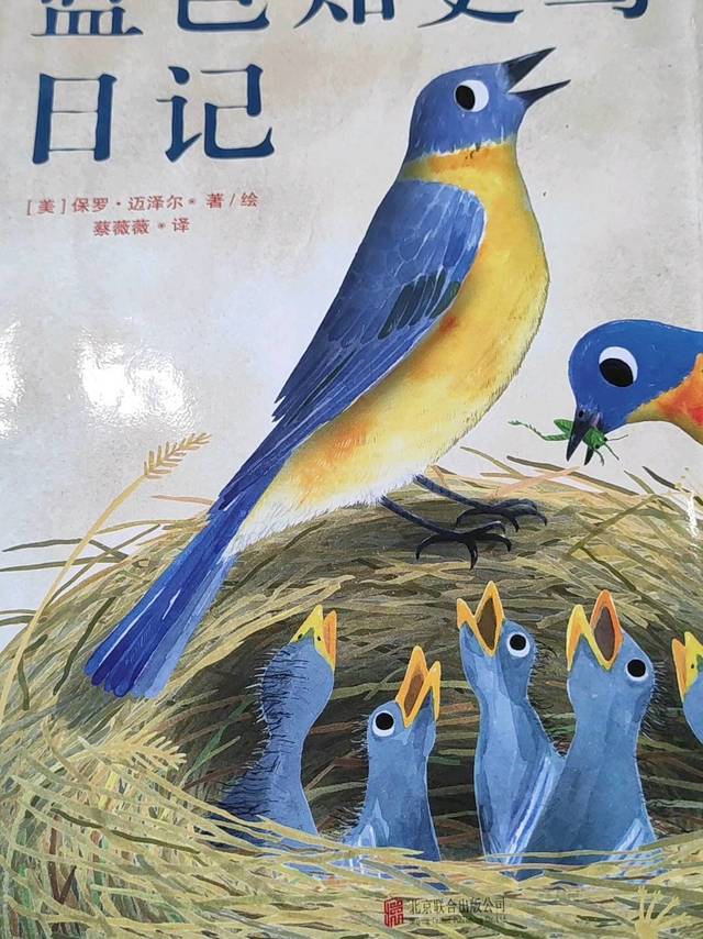 这本绘本用日记形式记录鸟的成长，太有趣！