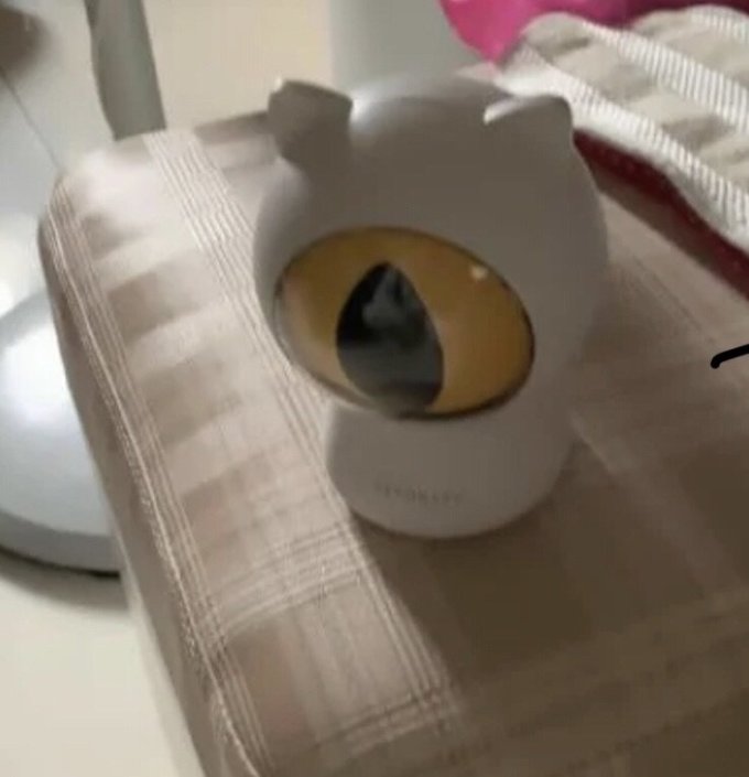 湃妮猫玩具