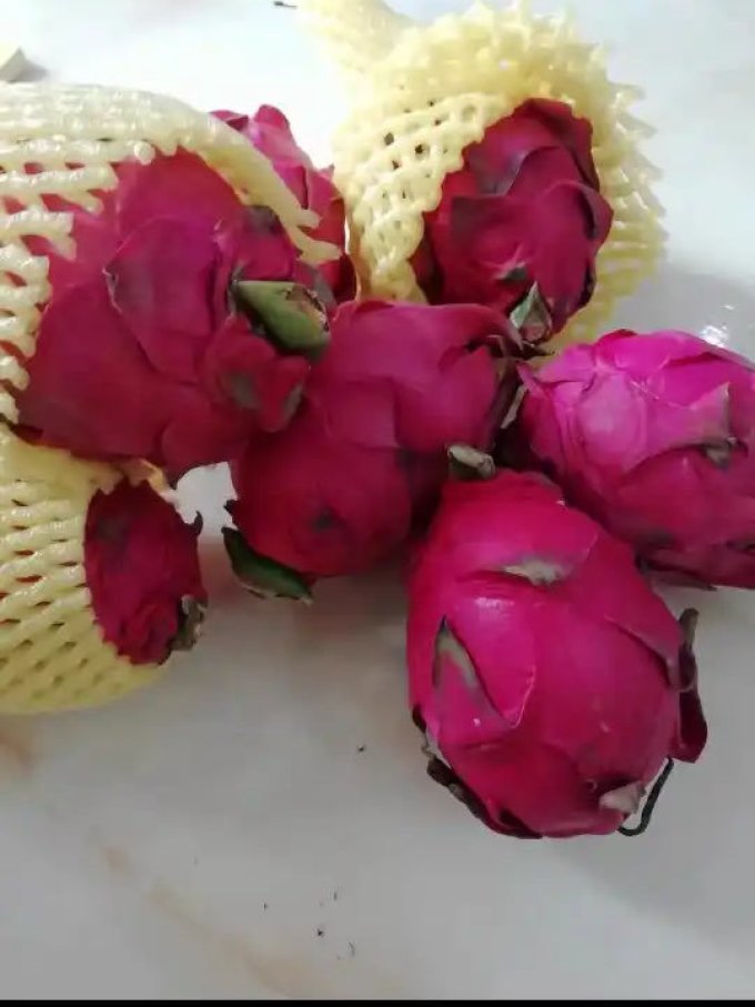 果迎鲜火龙果