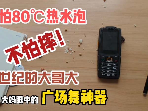 599入手的直板手机，能刷抖音、打王者