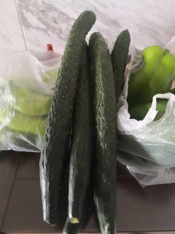 家美舒达蔬菜